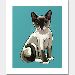 Snowshoe Siamese Cat Blep Posters and Art